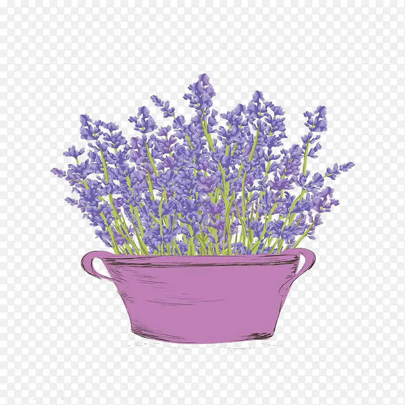 卡通薰衣草免扣素材