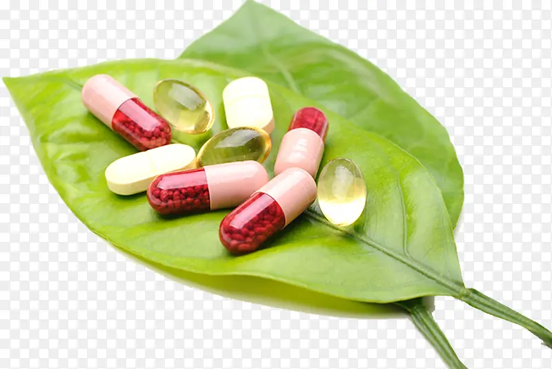 生物科学