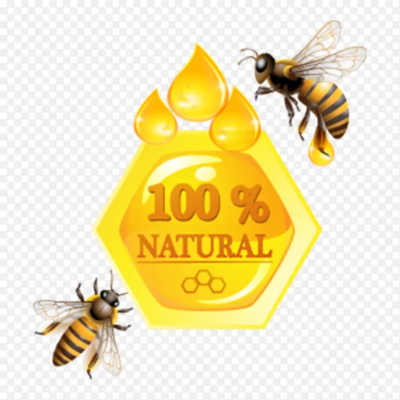 黄色纯天然蜂蜜图标元素