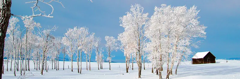 冬天雪景banner创意设计