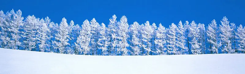 冬天雪景banner创意设计