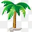 可可椰子假日岛群岛棕榈棕榈树放