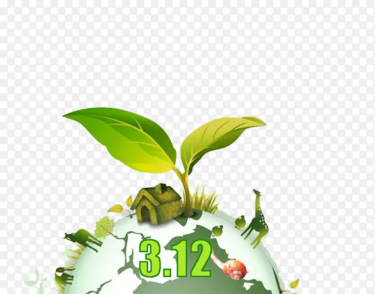 3.12植树图