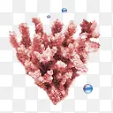 珊瑚free-scuba-diving-icon-set