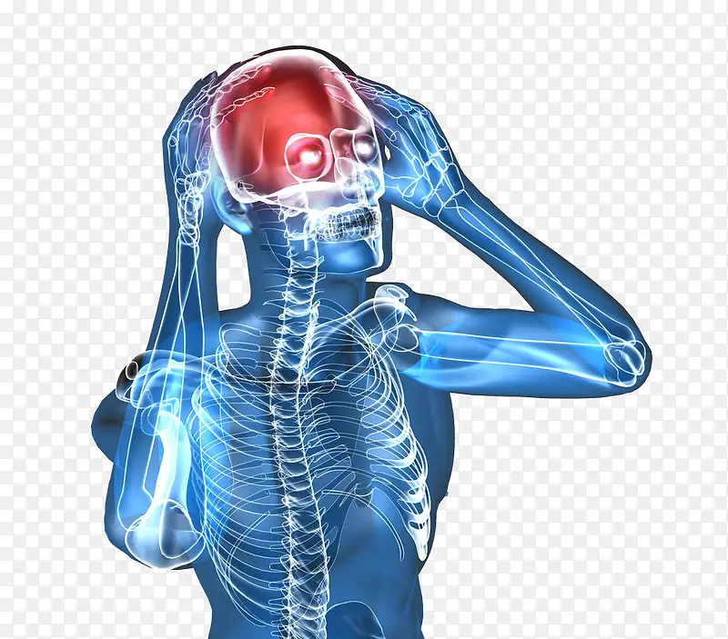 人体结构头痛