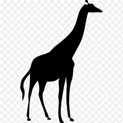 长颈鹿剪影图标