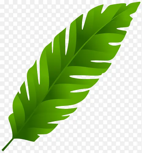 春季芭蕉叶免扣素材