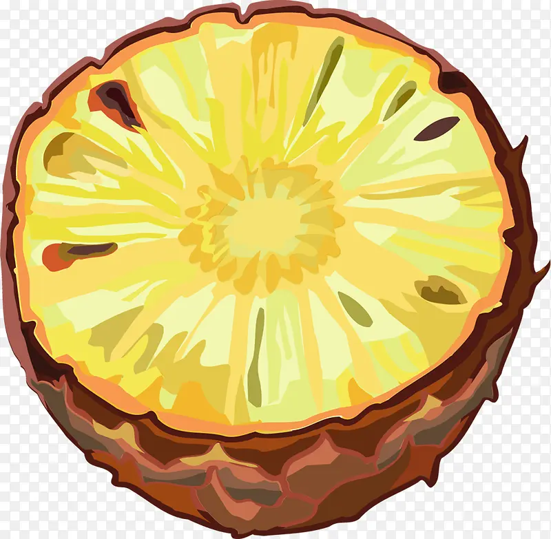 手绘横切面菠萝水果