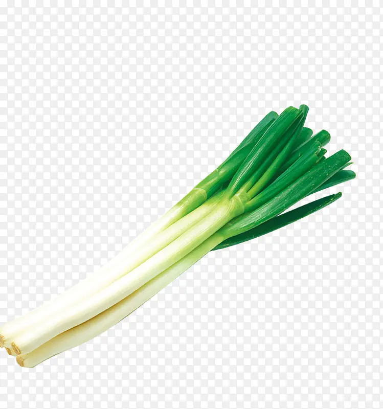 一捆绿色的大葱食材