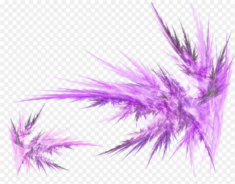 紫色装饰物