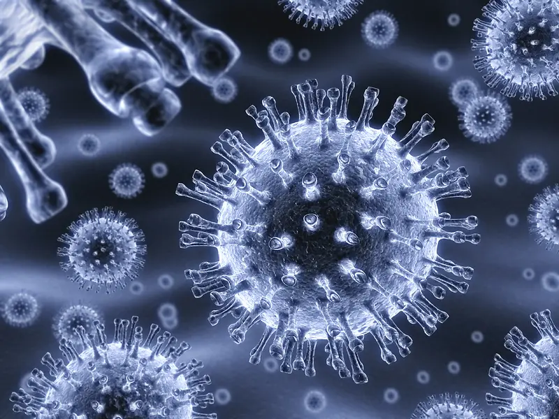 细菌病毒摄影素材
