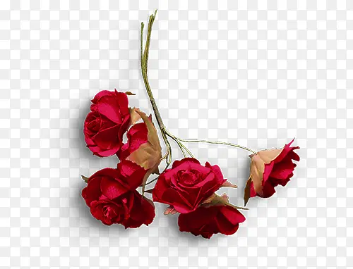 红色纸折玫瑰