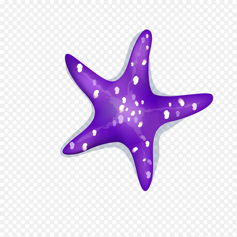 海星的紫色不明物