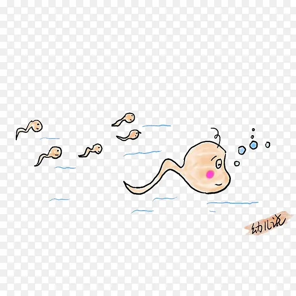 卡通精子们游泳