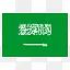 沙特阿拉伯持平图标