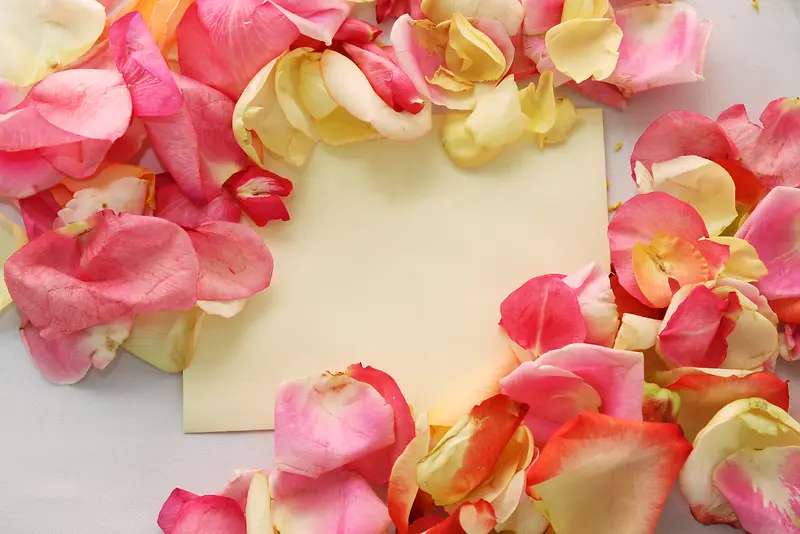 玫瑰花瓣与卡片高清素材