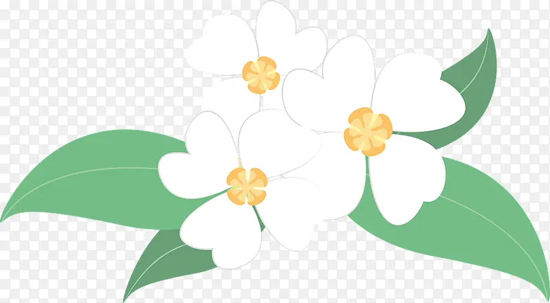 一朵白色的纯洁花儿