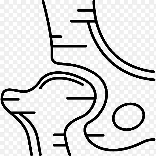 Hip Bone 图标