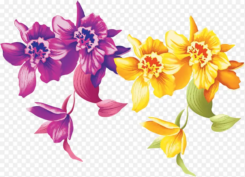 花，花朵，淘宝素材，紫色黄花