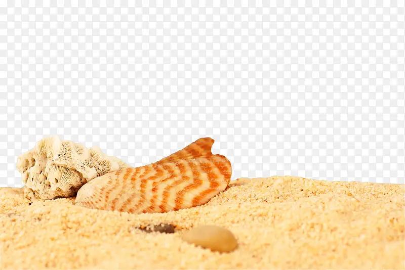 沙粒沙子