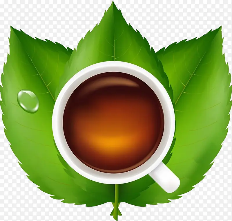 三片茶叶托着茶杯