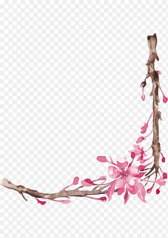 樱花枝干花边