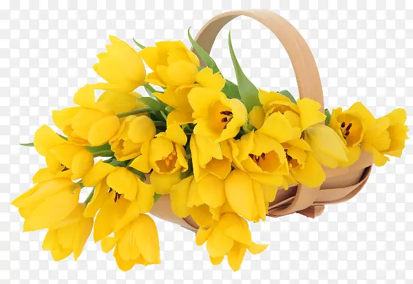黄色花朵花瓣花篮