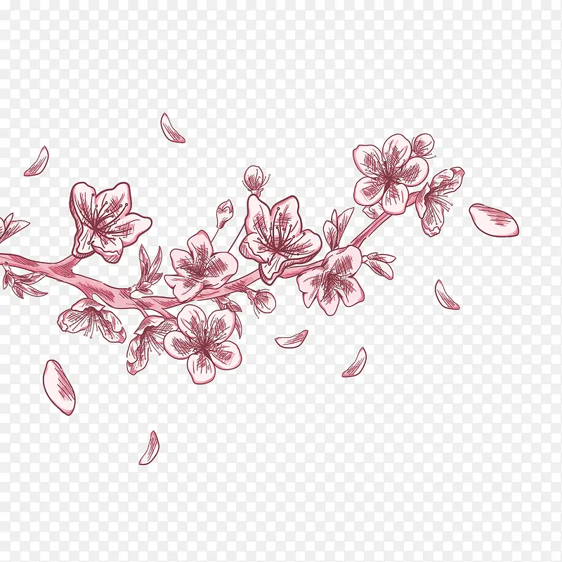 手绘樱花落花设计素材