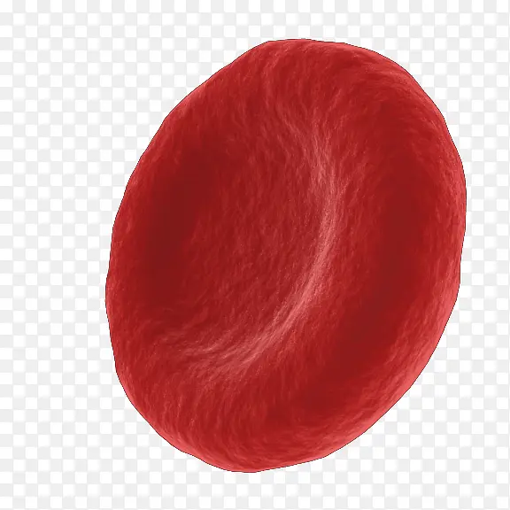 一个红细胞