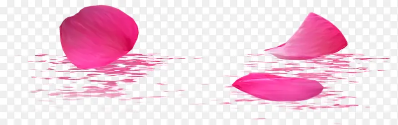 漂浮花瓣