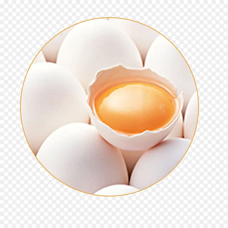 鸡蛋高清矢量图