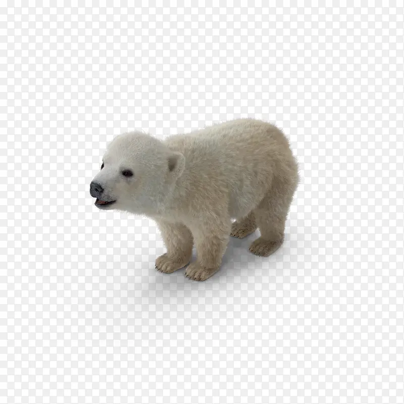 灰北极熊