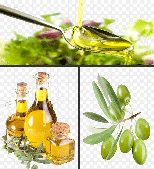 绿色食品橄榄油