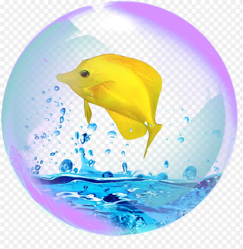 水晶球中的小黄鱼