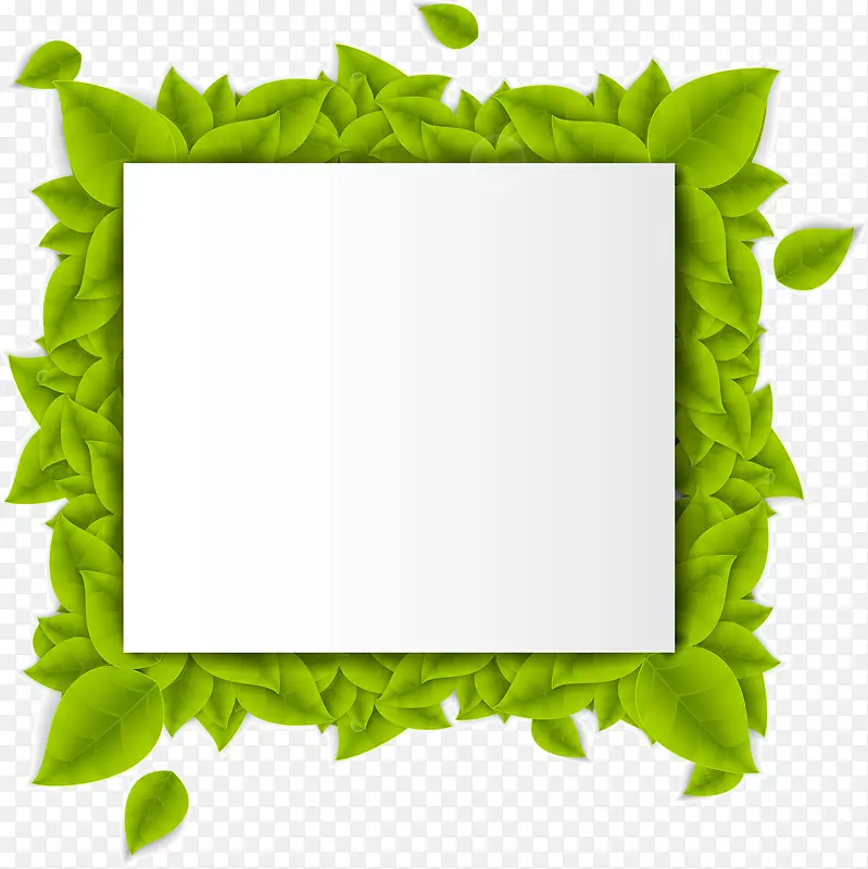 绿色简约树叶框架