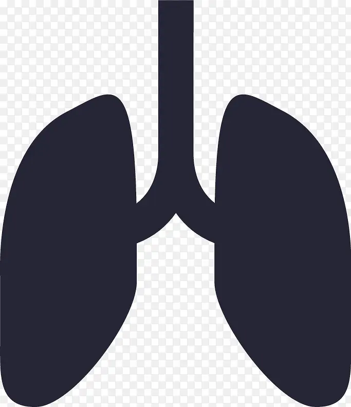 肺_lungs5