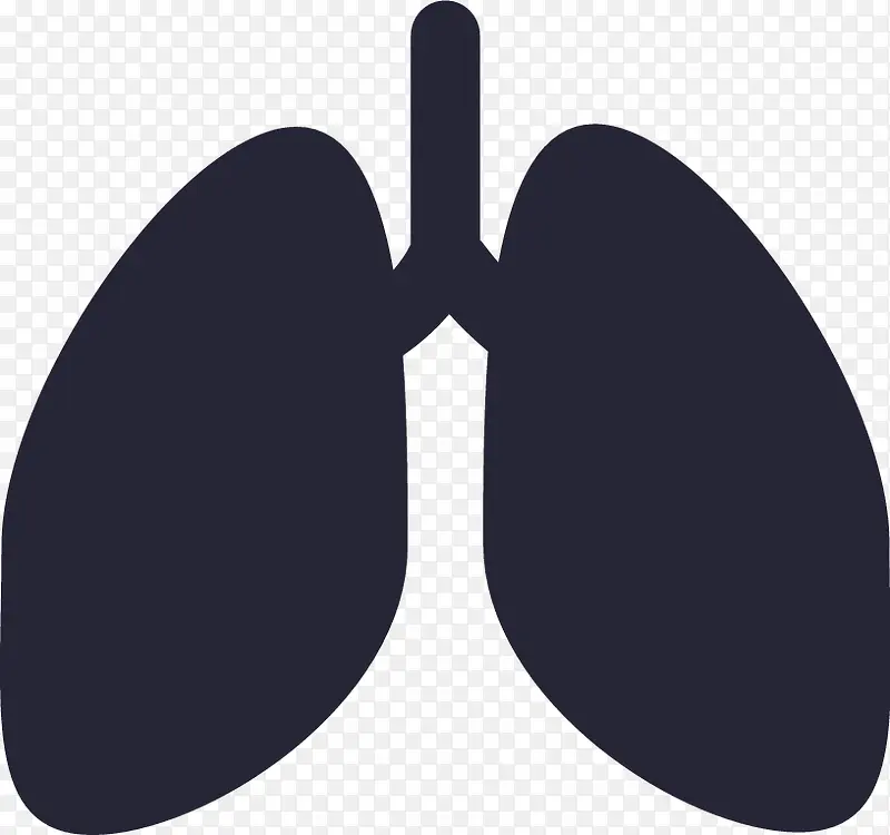 肺_lungs4