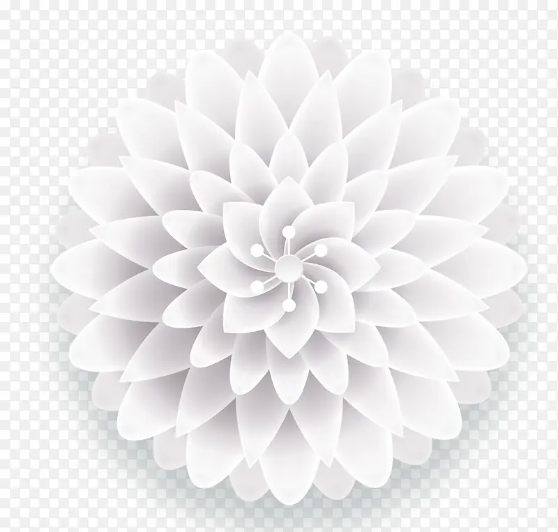 白色简约立体花朵装饰图案
