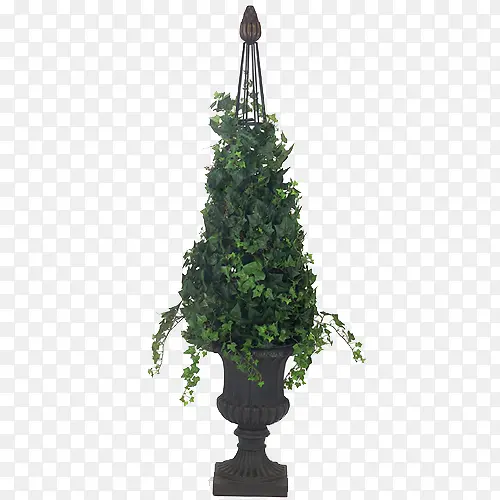 黑色垂吊式瓦盆栽培的绿植