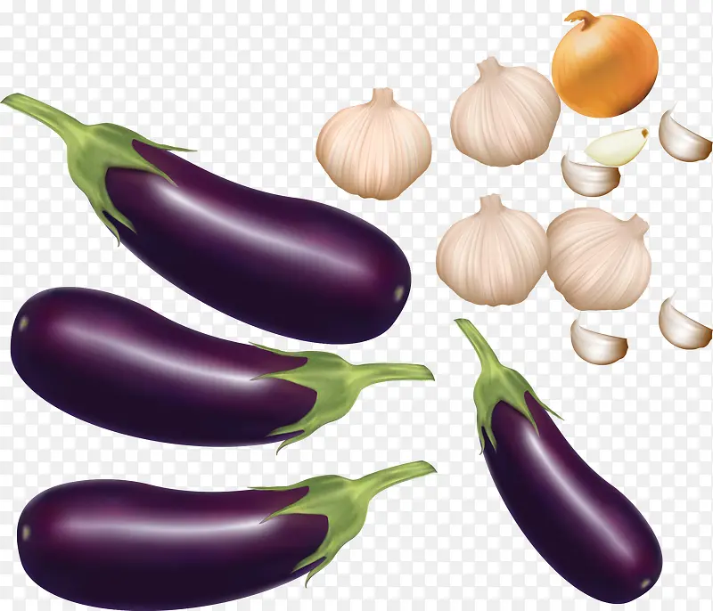 矢量蔬菜紫色茄子大蒜素材