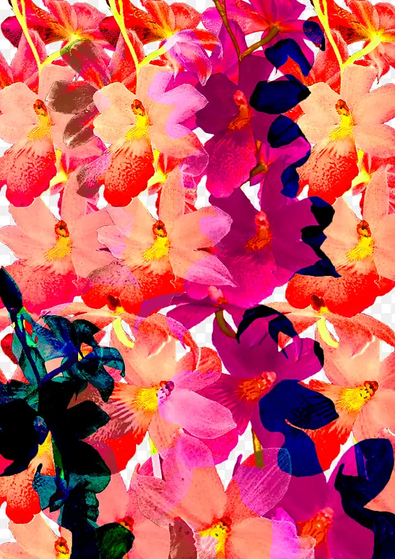 彩色花卉装饰背景