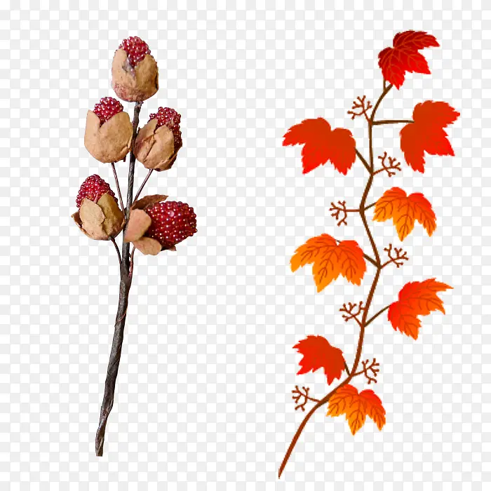 花朵树叶红色树干矢量图片高清素材