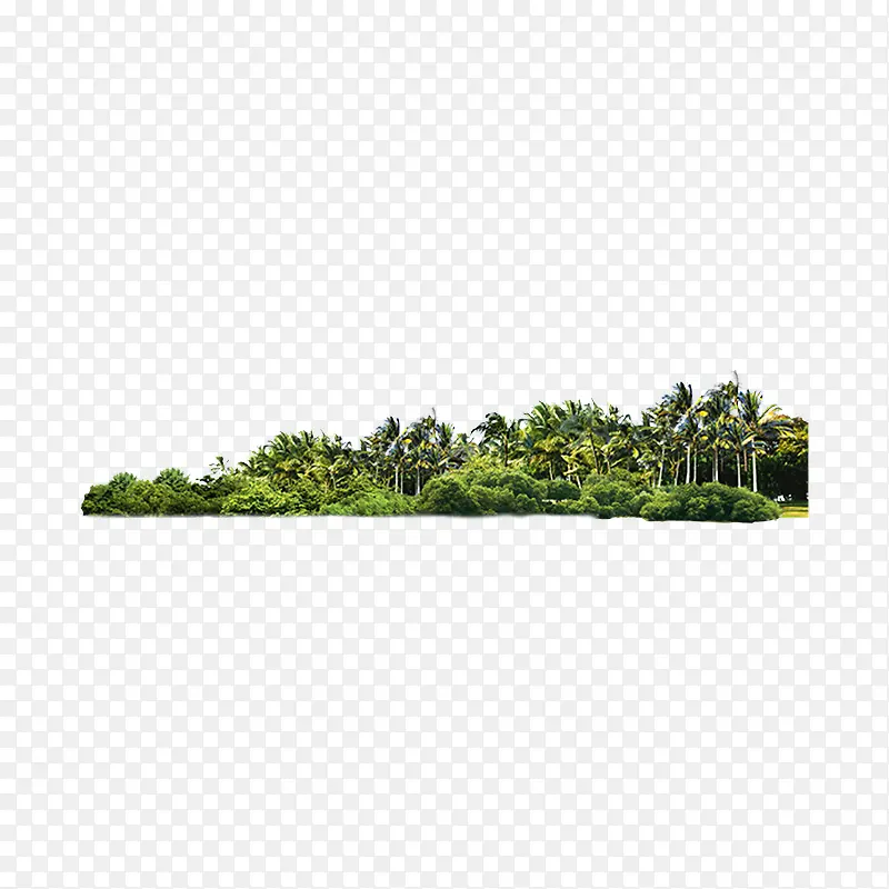 树林树木素材