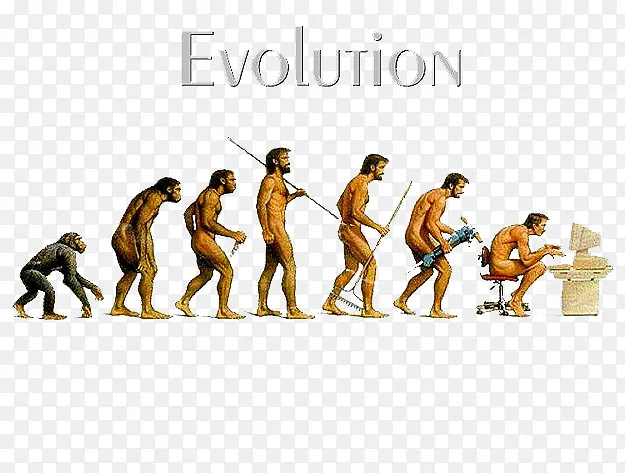 人类进化历程图