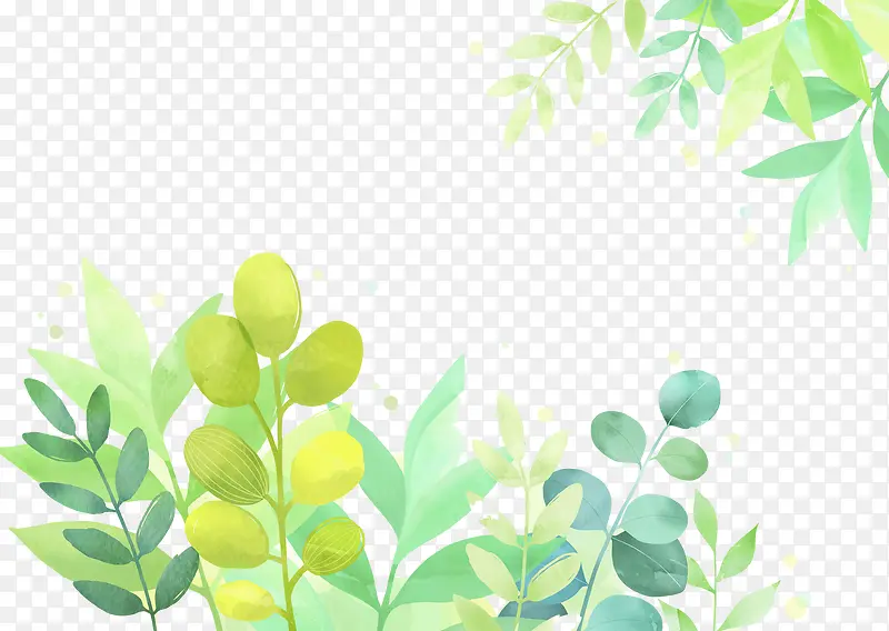 春天植物水彩插画