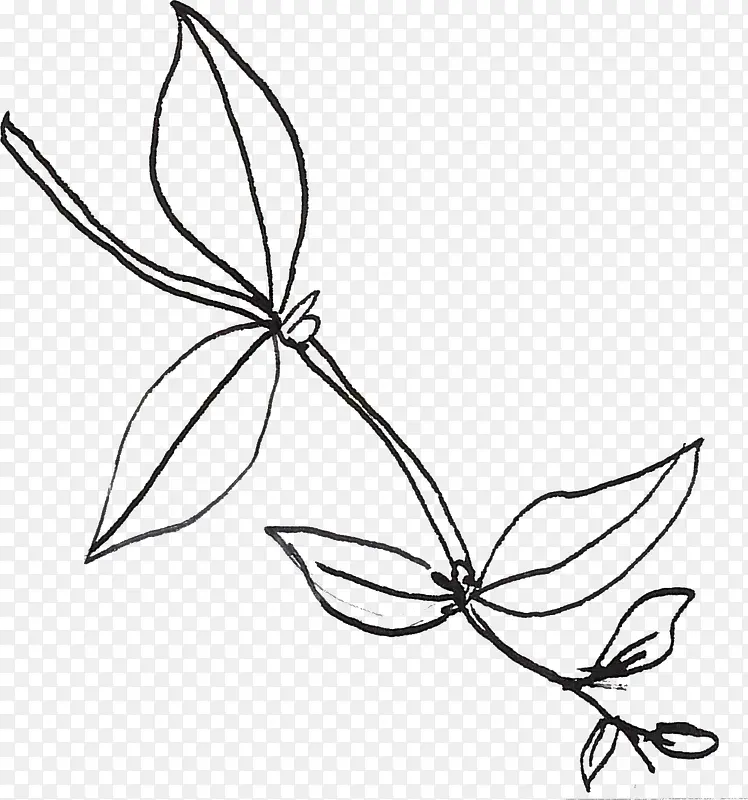 线描叶子