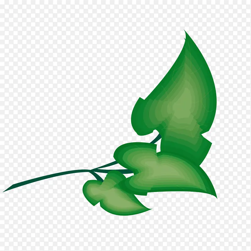 绿色枝条