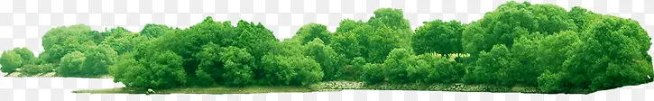 绿色场景树林美景