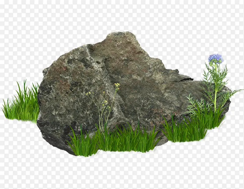 草丛里的石头