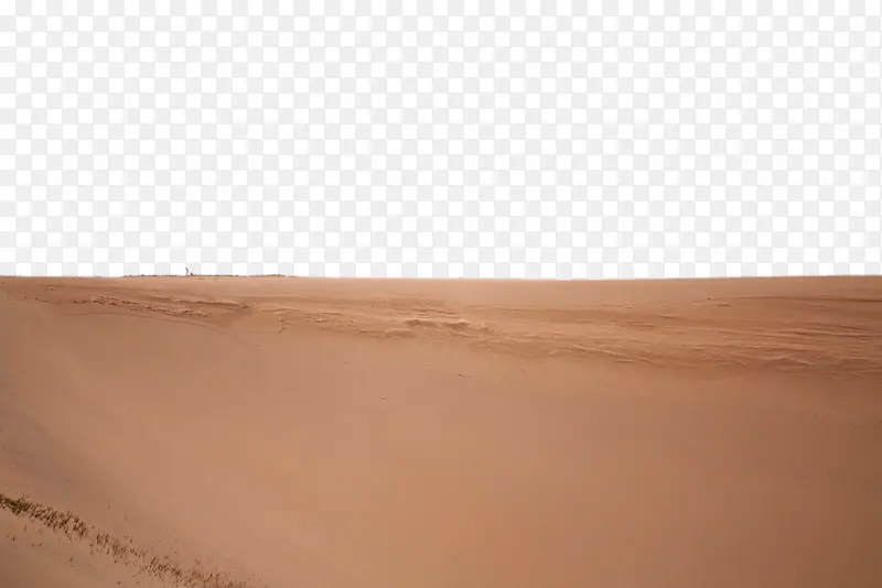 沙漠地面